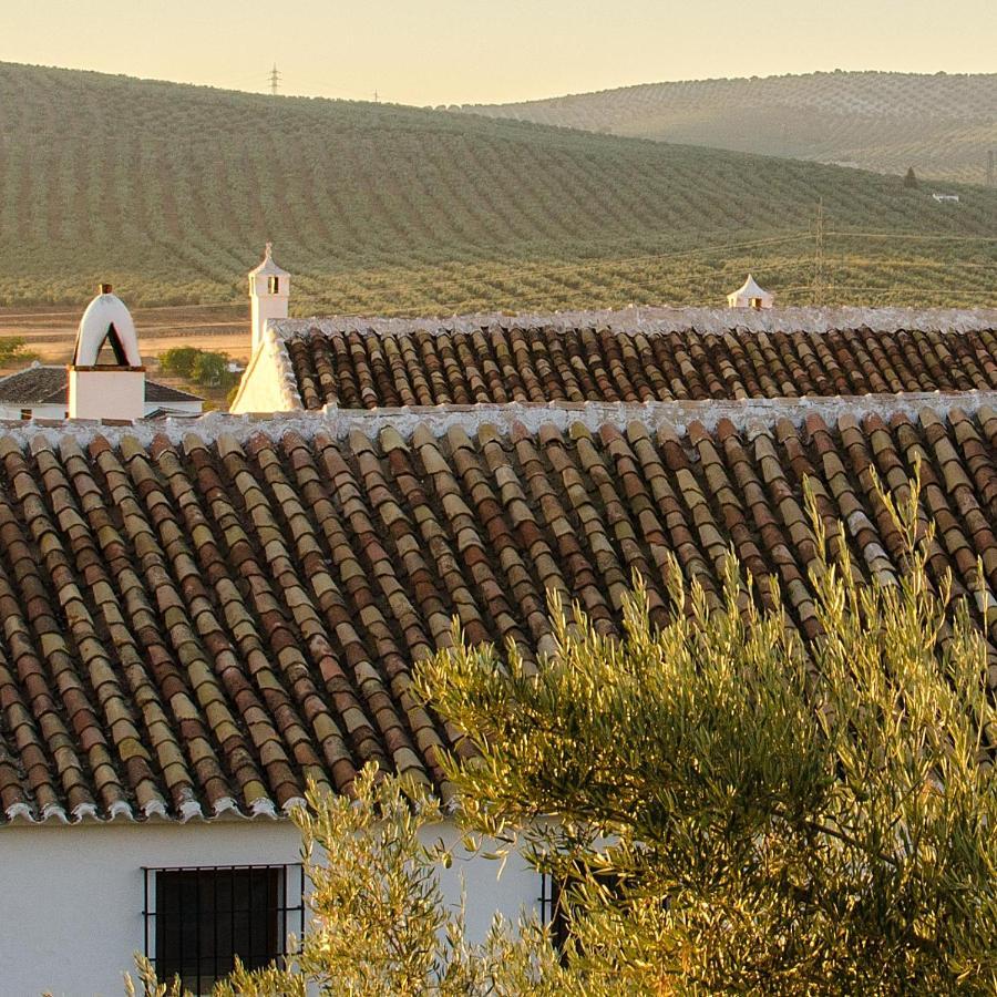 Вілла Cortijo Alzamigaja Арчідона Екстер'єр фото