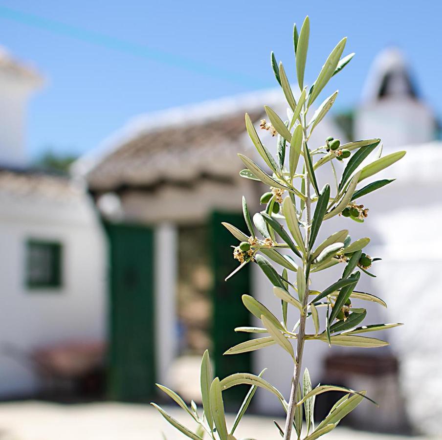 Вілла Cortijo Alzamigaja Арчідона Екстер'єр фото